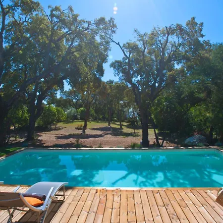 Pinarello House Vila